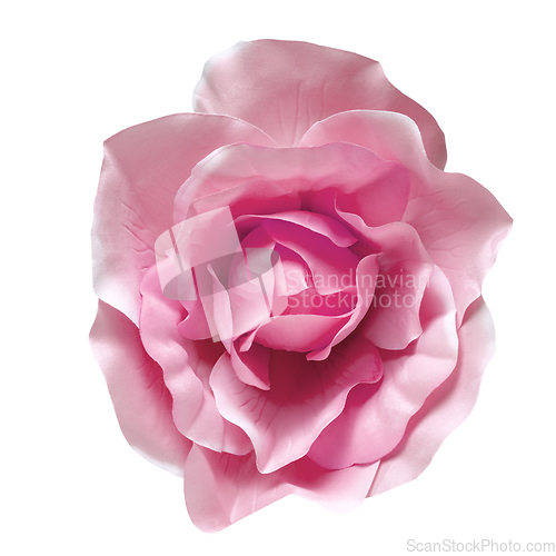 Image of Pink color fabric flower