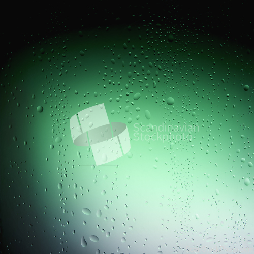 Image of Water drops on green