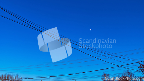 Image of Moon, wires and tree tops in the evening cloudless sky