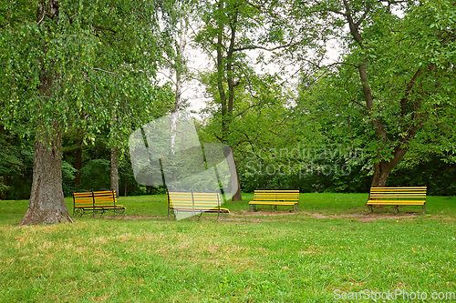 Image of Four yellow wooden benches on a spacious lawn of a city park