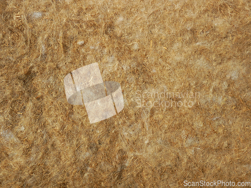 Image of Lots of raw flax fibers, linen felt for insulation as a backgrou