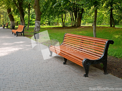 Image of Empty alley with benches in the city park in summer time