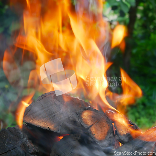 Image of Red flame and ash over burning firewood outside