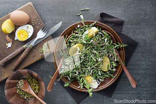 Image of Dandelion salad