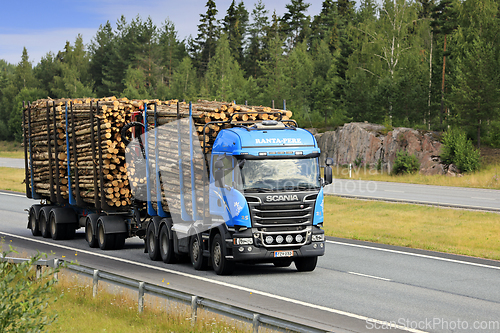 Image of Blue Scania Logging Truck Hauls Pulp Wood