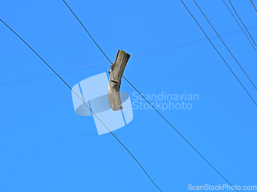 Image of Dried wooden branch detail hanging on a wire on a sky background