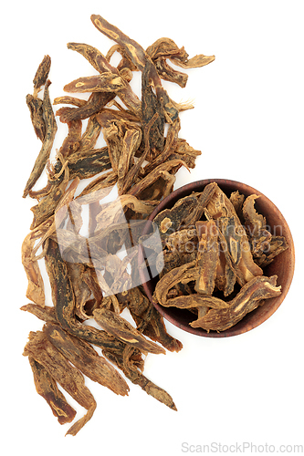 Image of Stemona Root Chinese Herb Plant Medicine