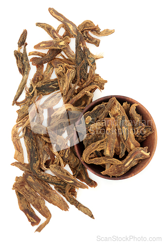 Image of Stemona Root Chinese Herb Plant Medicine