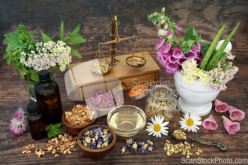 Image of Flowers and Herbs for Aromatherapy Essential Oils