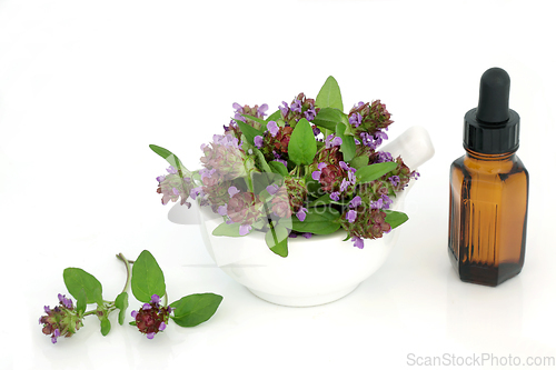 Image of Self Heal Herb Natural Herbal Plant Medicine
