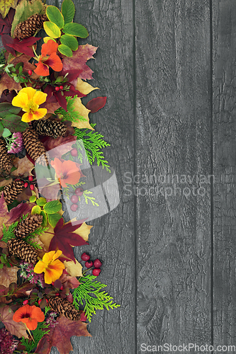 Image of Rustic Autumn Leaf and Flower Background Border 