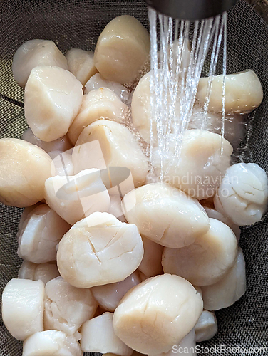 Image of raw scallops prepared for party