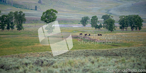 Image of The sun setting over the Lamar Valley near the northeast entranc