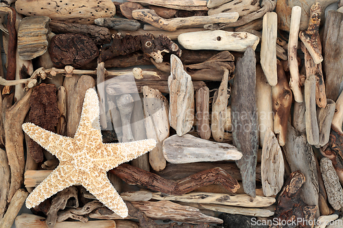 Image of Natural Driftwood and Starfish Abstract Background 