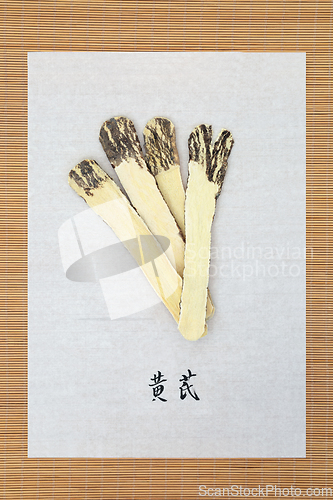 Image of Astragalus Root