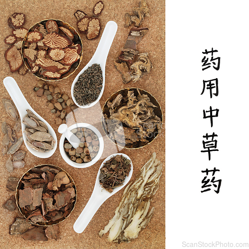 Image of Medicinal Chinese Herbs 