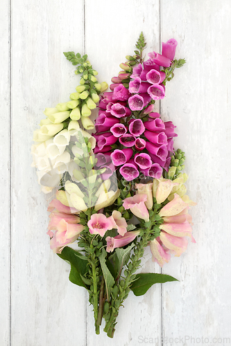 Image of Wild Foxglove Flower Posy