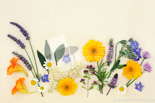 Image of Herb and Flower Collection for Natural Healing