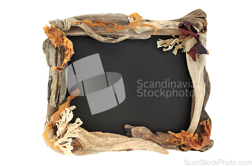 Image of Natural Seaweed and Driftwood Background Border 