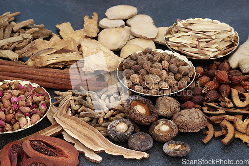 Image of Traditional Chinese Medicinal Herbs and Spice Ingredients