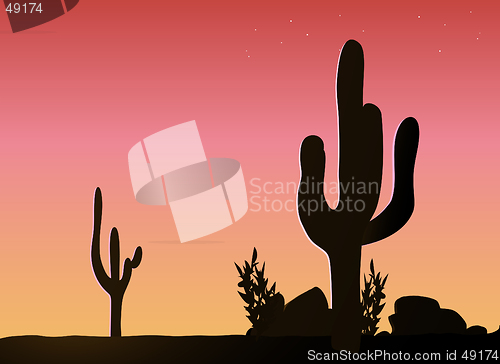 Image of Evening Desert Scene