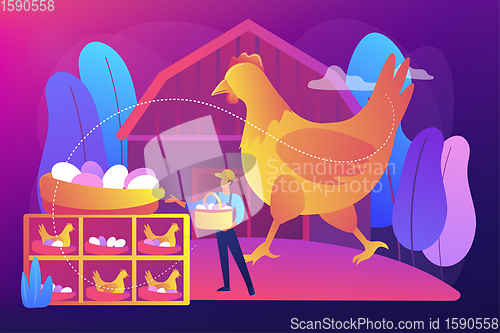 Image of Free run chicken and eggs concept vector illustration.