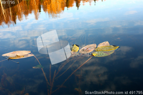 Image of Crossing of two worlds