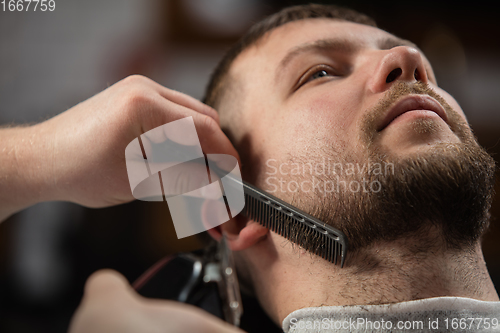 Image of Close up of client of master barber, stylist during getting care of mustache and beard. Professional occupation, male beauty concept