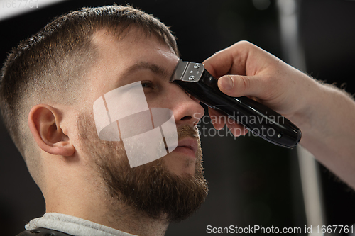 Image of Close up of client of master barber, stylist during getting care of hairstyle. Professional occupation, male beauty concept