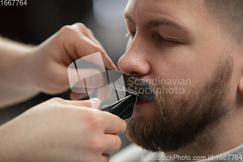 Image of Close up of client of master barber, stylist during getting care of mustache and beard. Professional occupation, male beauty concept