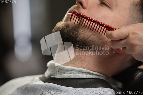 Image of Close up of client of master barber, stylist during getting care of mustache and beard. Professional occupation, male beauty concept