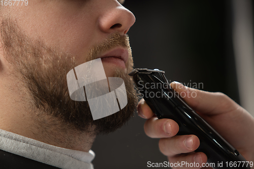 Image of Close up of client of master barber, stylist during getting care of mustache and beard. Professional occupation, male beauty concept