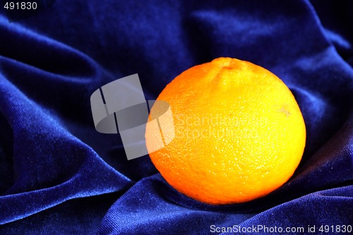 Image of Orange and velvet