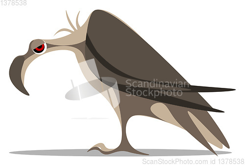 Image of A large vulture set on isolated white background viewed from the