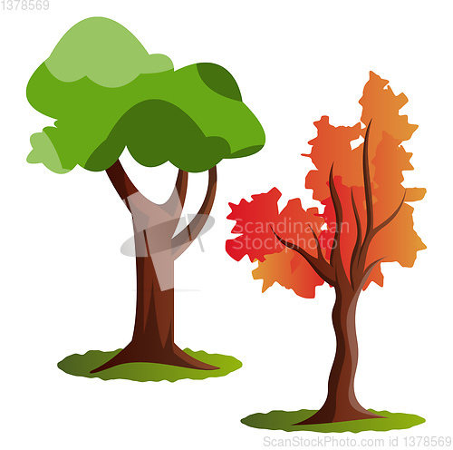 Image of Two autumn tree vector illustration on white background