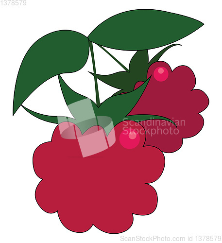 Image of Clipart of two red fresh-looking raspberries with green leaves v