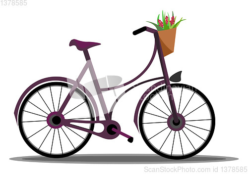 Image of bicycle with flower basket vector or color illustration
