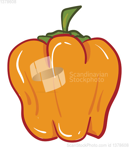 Image of Orange colored pepper, vector or color illustration.