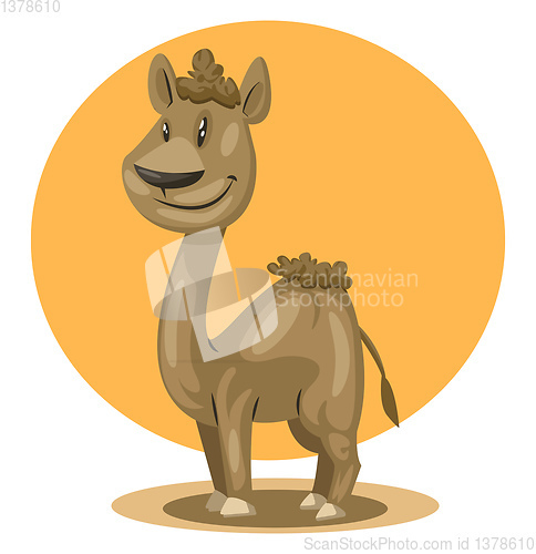 Image of Brown camel, vector color illustration.