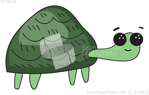 Image of Funny cartoon turtle set on isolated white background viewed fro