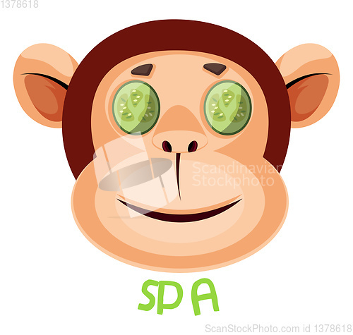Image of Monkey is taking spa, illustration, vector on white background.