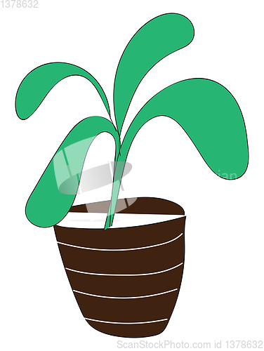 Image of Big cartoon plant vector illlustration on white background