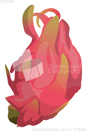 Image of Cartoon pink dragonfruit vector illustration on white background