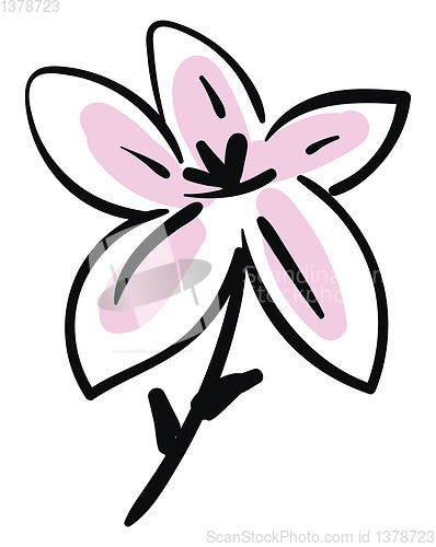 Image of Simple sketch of a black and pink lily flower vector illustratio