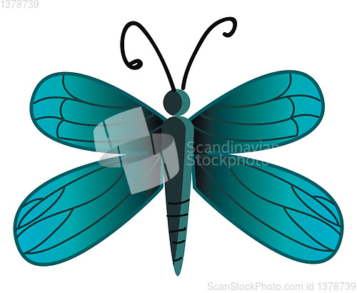 Image of A beautiful blue butterfly with its wings vector color drawing o