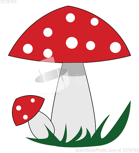 Image of Red mushrooms with white polka dots illustration vector on white