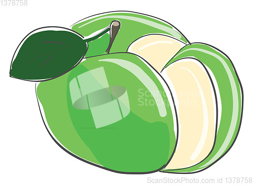 Image of A cut green apple vector or color illustration