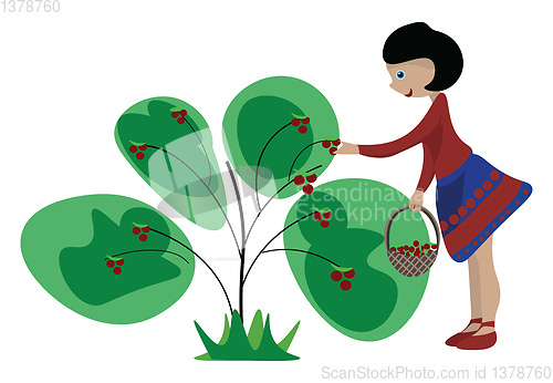 Image of Girl collecting berries, vector or color illustration.