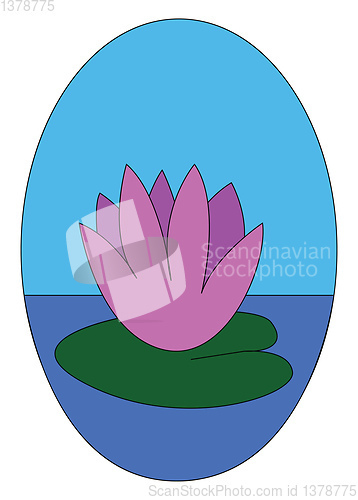 Image of Pink water flowerillustration vector on white background
