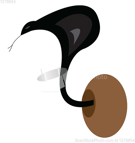 Image of A black snake vector or color illustration